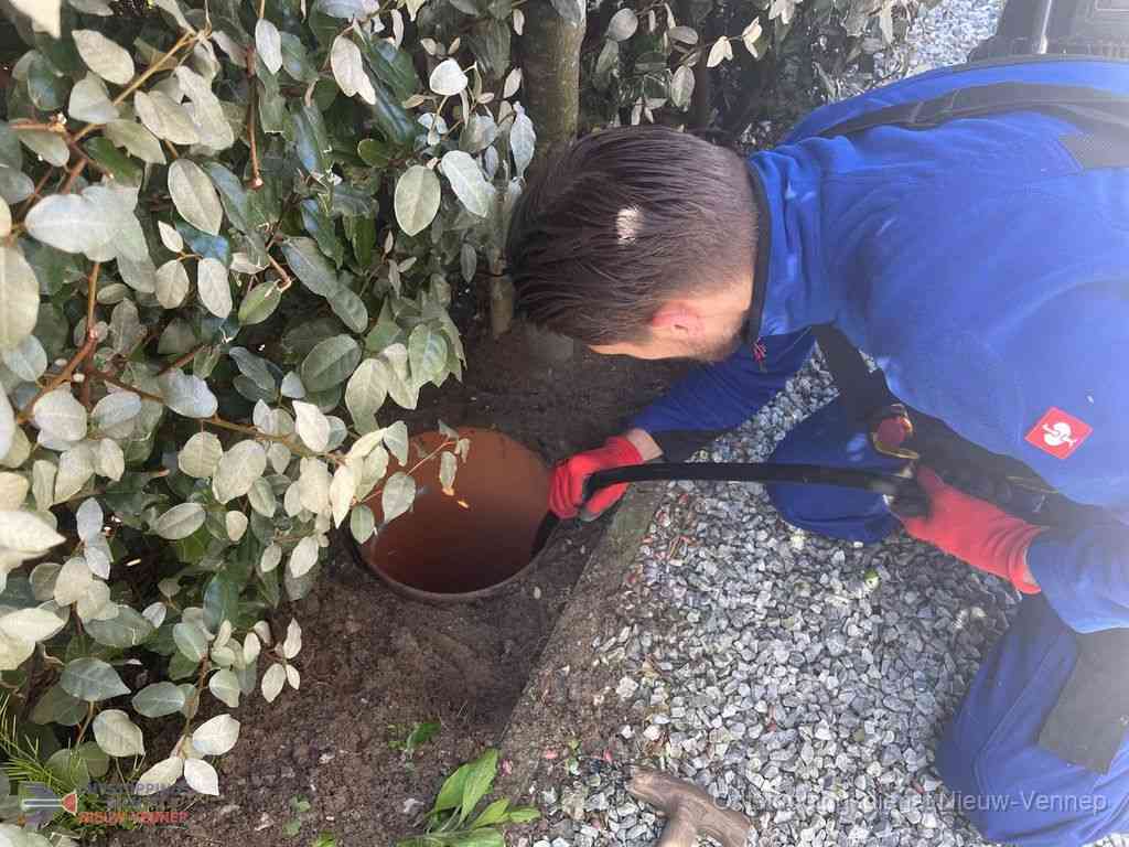 Rioolvliegjes Nieuwvennep Rioolvliegjes Nieuwvennep